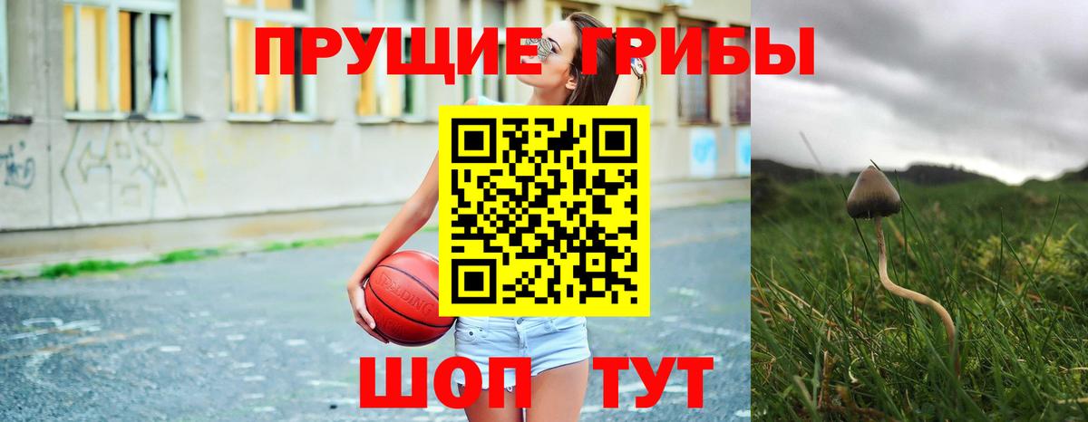 Саранск  Псилоцибиновые грибы Psilocybine cubensis  Вход с VPN 