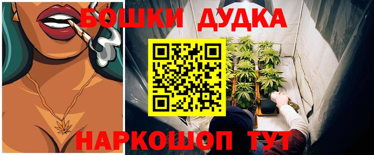 Шишки марихуана планчик  Вход с VPN  Конопля планчик  Саранск 